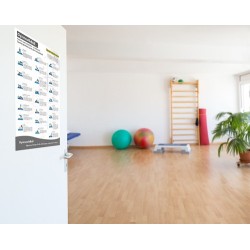 Training Poster - "Gym Ball" (25 Workouts)