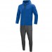Jogging suit Premium Basics with hood royal mottled