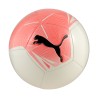Puma Big Cat