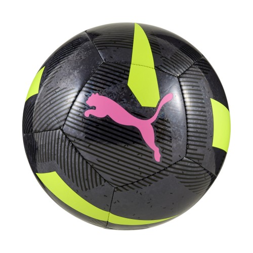 Puma Cage