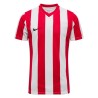 Nike Striped Division V Dri-FIT Kids