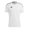 Adidas CAMPEON 23 WHITE