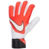 Nike NK GK MATCH - FA20 637