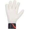 Nike NK GK MATCH - FA20 637