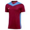 Nike M NK DF PRK DRB IV JSY SS