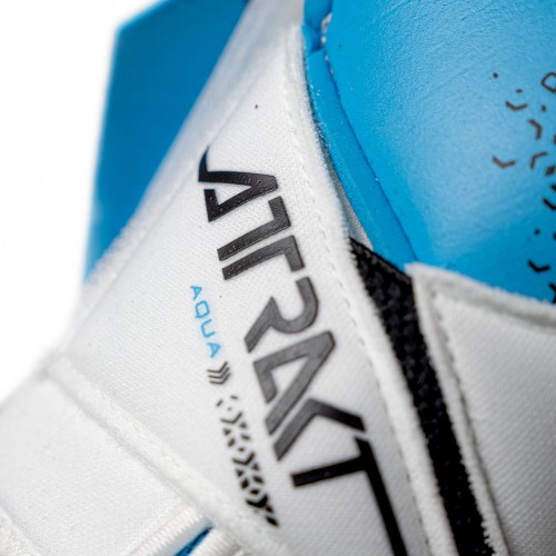 Reusch Attrakt Aqua Evolution