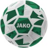JAKO training ball River