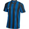 Nike M NK DF STRP DVSN V JSY SS