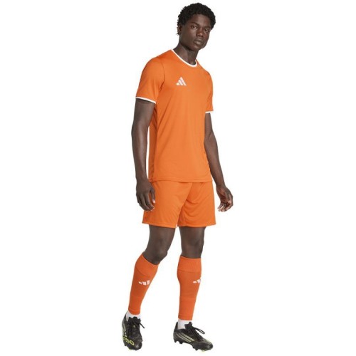ADIDAS ENTRADA 26 TEAM 509
