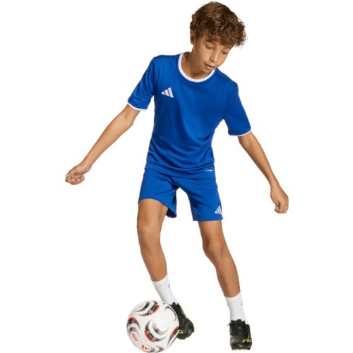 ADIDAS ENTRADA 26 TEAM JUNIOR 524