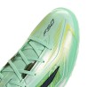 adidas F50 Pro Hyperfast TF