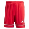 adidas Squadra 25 466