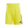 adidas Tiro 24 Training  409