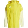 adidas Tiro 25 Competiton Allweather  958