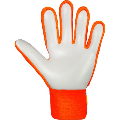 Attrakt Starter Solid Junior 2290