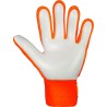 Attrakt Starter Solid Junior 2290