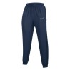 Nike Dri-FIT Academy 25 JR 410