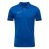 Nike Dri-FIT Academy 25 Polo 463