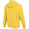 Nike Park Hoodie 719