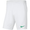 NIKE PARK KNIT SHORT 102