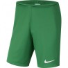 NIKE PARK KNIT SHORT 302