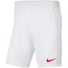 NIKE PARK KNIT SHORT JR 103