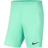 NIKE PARK KNIT SHORT JR 354