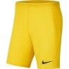 NIKE PARK KNIT SHORT JR 719