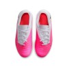 Nike Phantom 6 Club Low Cut IC  JR