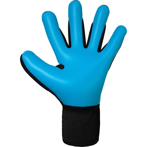 Reusch Attrakt  Freegel  Aqua