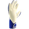 Reusch Legacy 2000